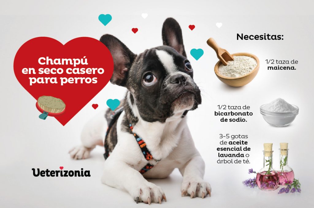 Champú seco para perros ingredientes Champú seco para perros ingredientes