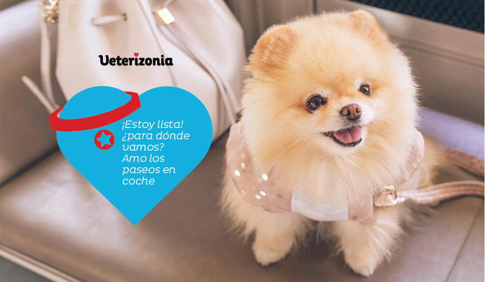Ponerle-la-correa-a-tu-perro