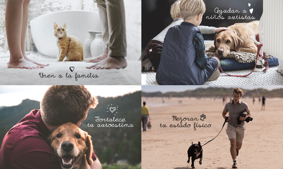 Beneficios de tener una mascota 