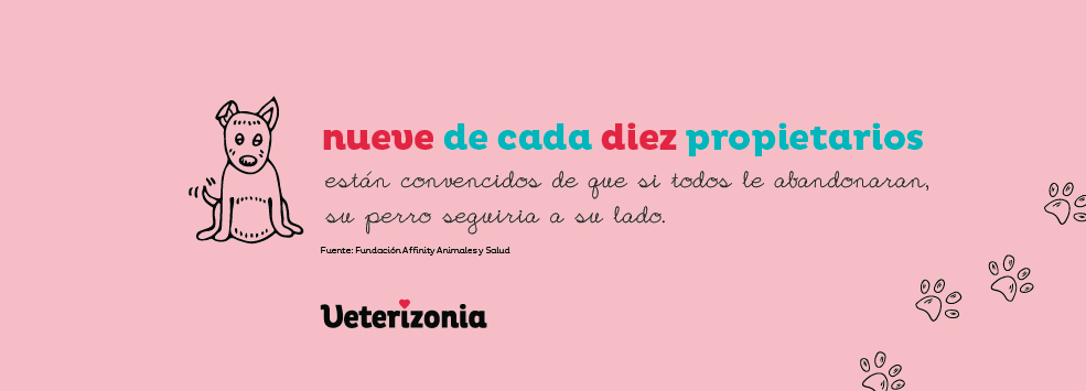 Beneficios de tener una mascota
beneficios de tener un perro
beneficios de tener un gato
