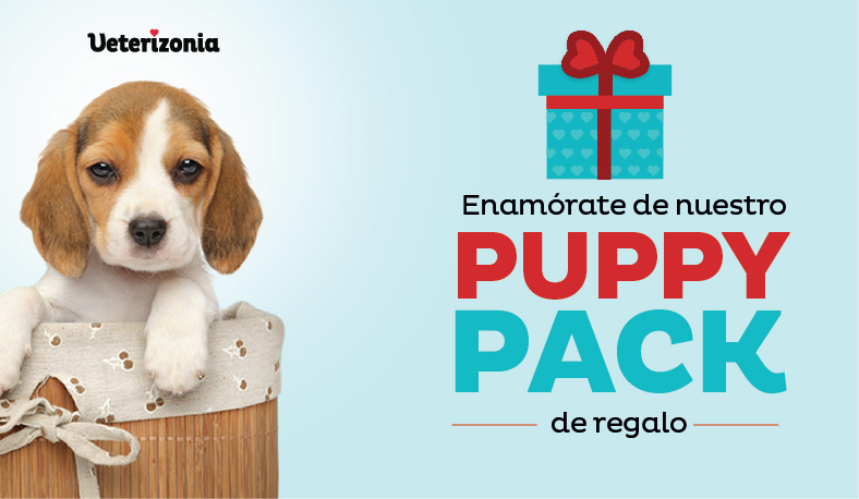 Protocolo Veterizonia de vacunación para perros vacunación y desparasitación de cachorros