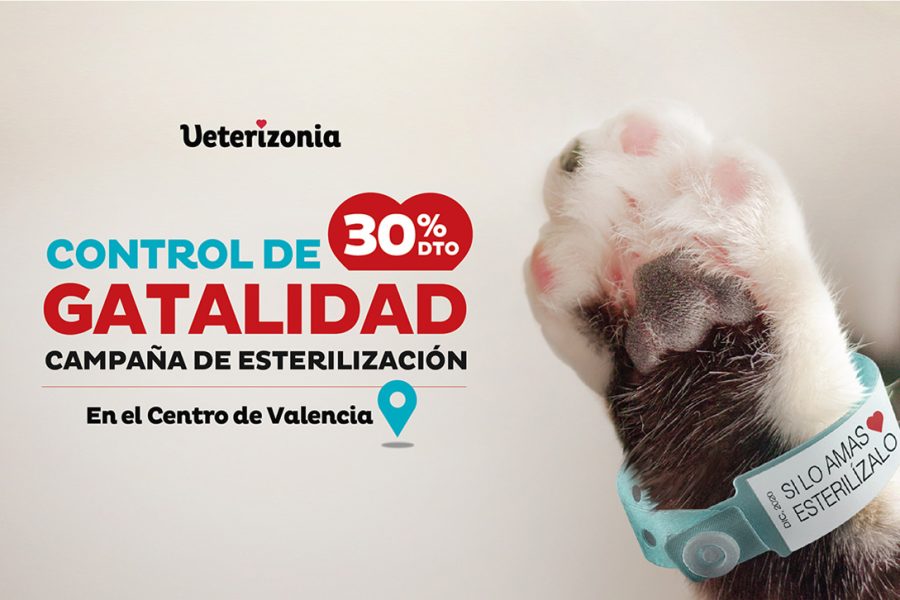 Campaña-esterilización-para-gatos-Valencia