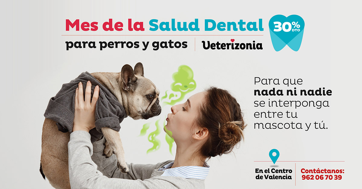 campaña-salud-dental-para-perros-gatos