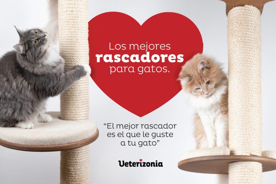 Rascadores gatos