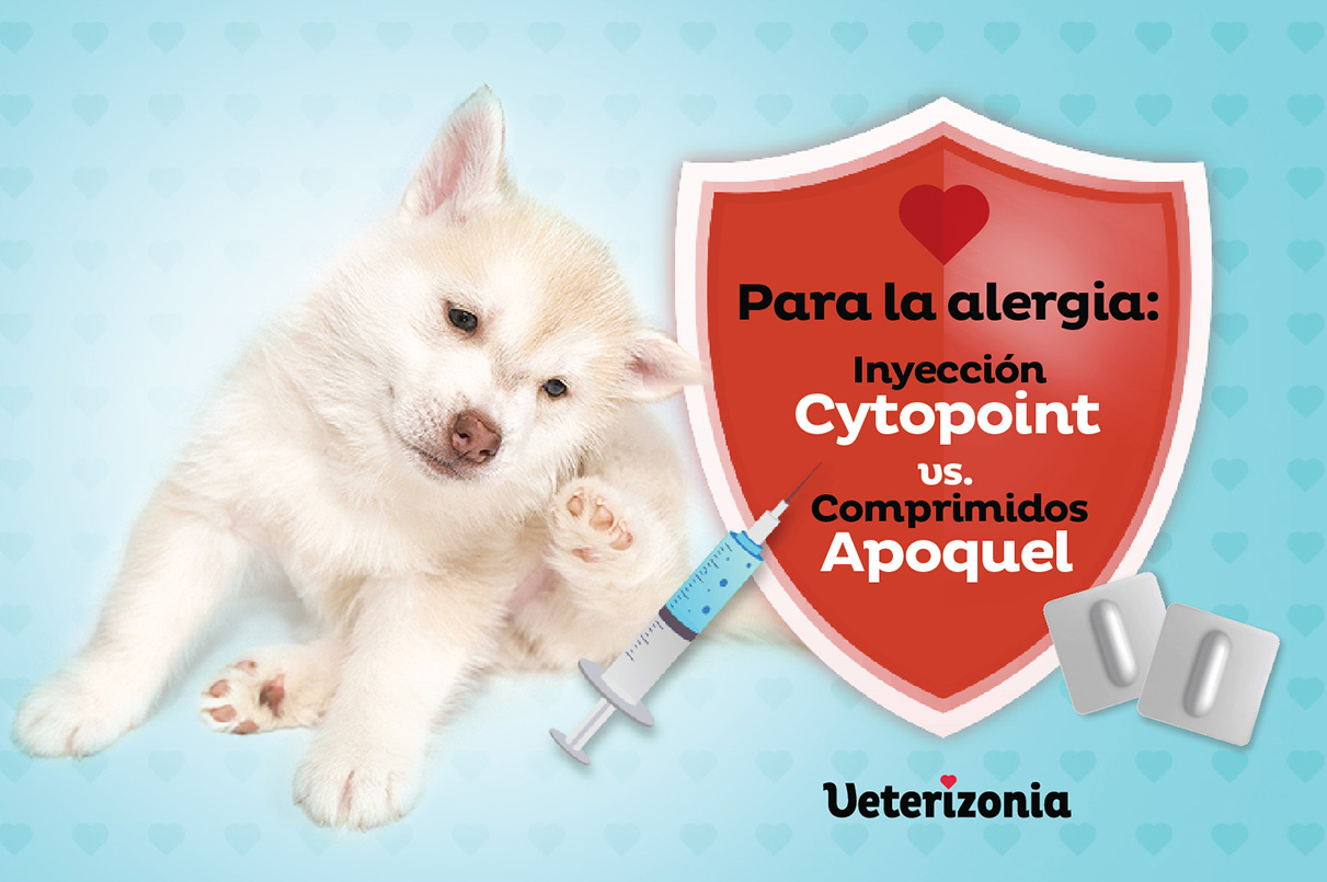 Inyección Cytopoint comprimidos Apoquel