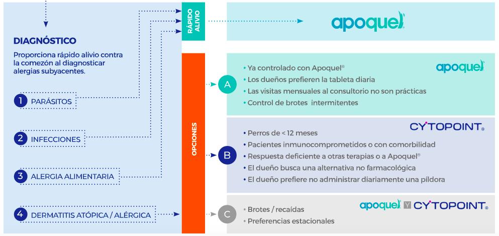 apoquel-vs-cytopoint