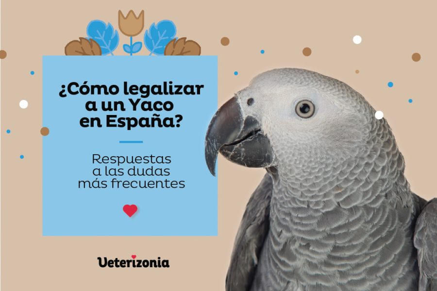 Yaco legalizar
