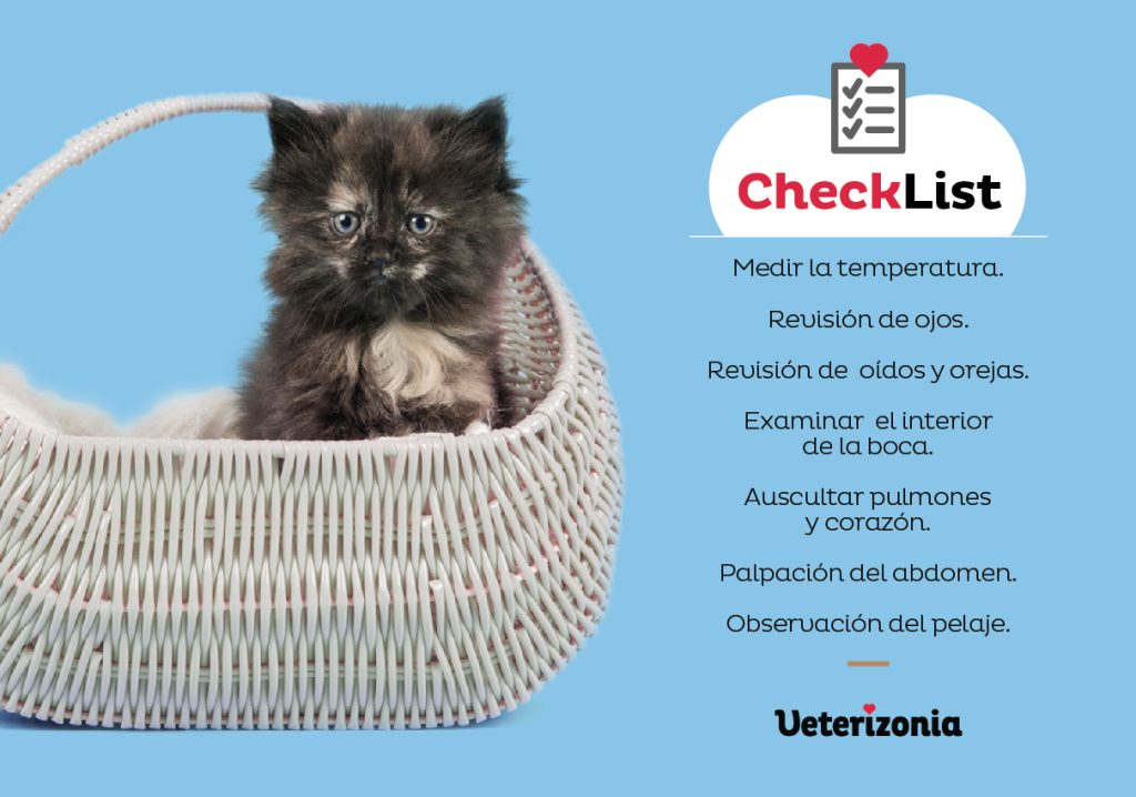 Gatito Primera Visita CheckList