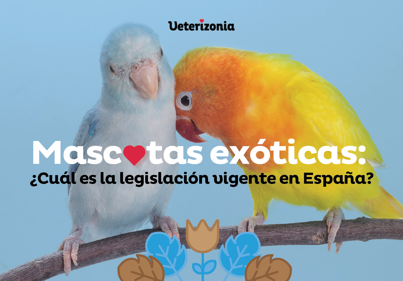 Mascotas Exoticas