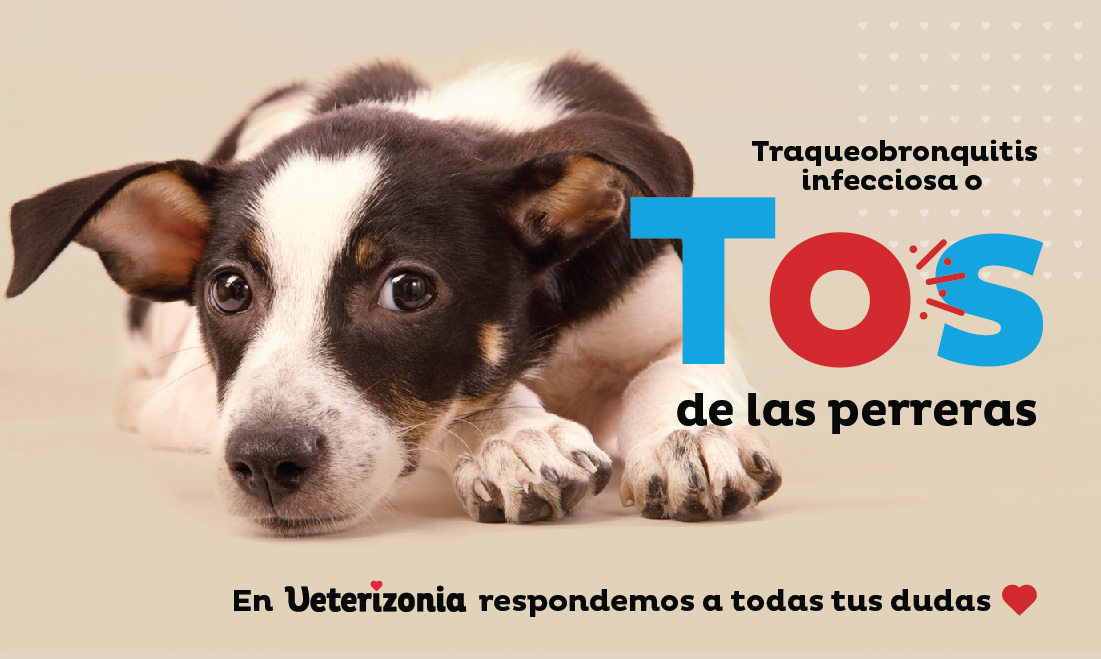 Tos de las perreras