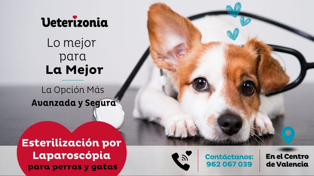 esterilización-por-laparoscopia